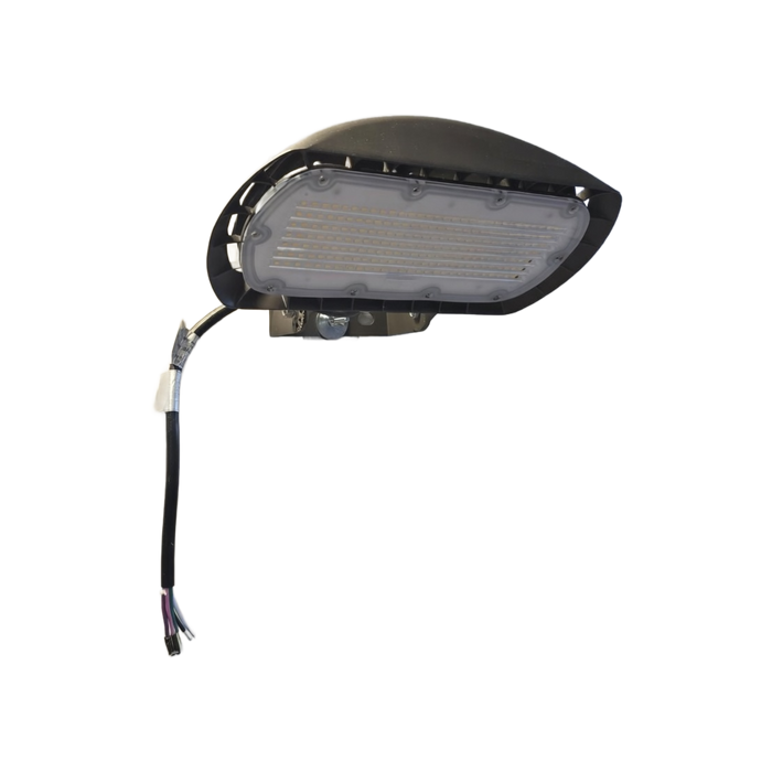 ARK LED Flood Light