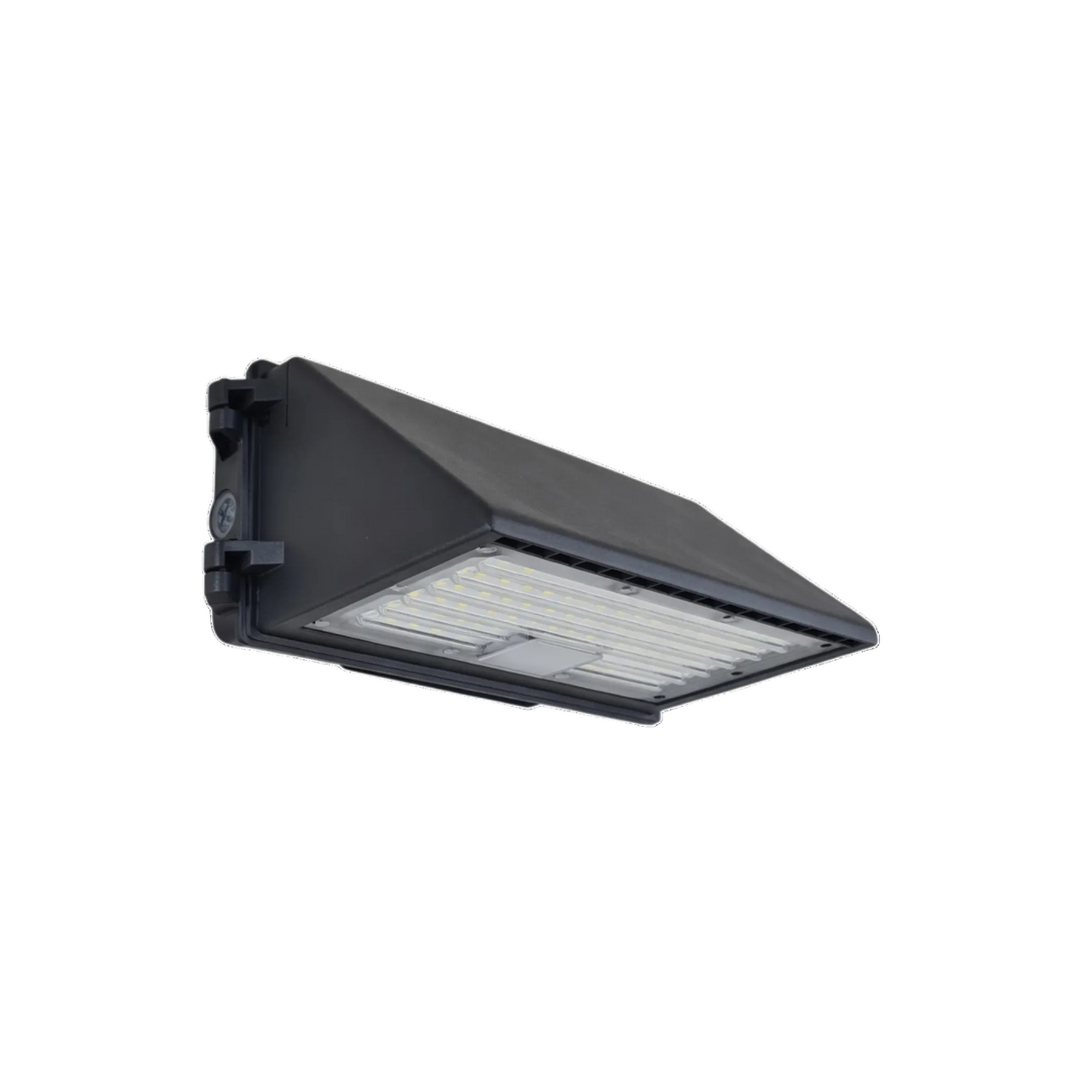 Security Wall Light