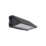 Security Wall Light